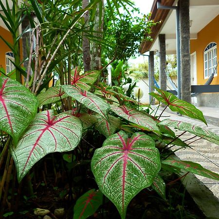 Villa Do Sonho Pousada Hotel 帕拉蒂 外观 照片
